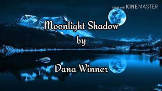 Moonlight Shadow by Dana Winnerwith lyrics [upl. by Weihs]