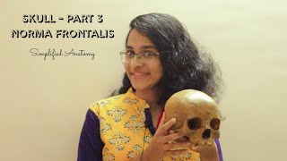 SKULL PART 3  NORMA FRONTALIS  ANATOMY  SIMPLIFIED ✔ [upl. by Eldrid]