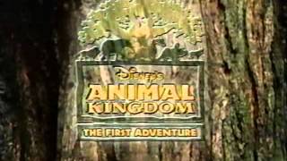 Animal Kingdom  The First Adventure [upl. by Annahavas512]