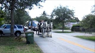 Horse Drawn Funeral Hearse [upl. by Valdes]