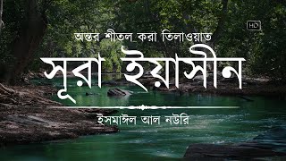 অন্তর শীতল করা সূরা ইয়াসিন এর তিলাওয়াত ┇ Surah Yasin Recited by Ismail An Nouri ┇ An Nafee [upl. by Mckinney465]