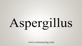 How To Say Aspergillus [upl. by Ennasus]