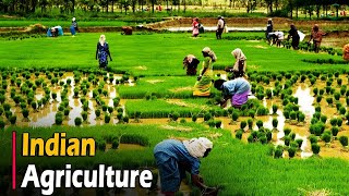 AGRICULTURE IN INDIA  Documentary [upl. by Hildegarde]