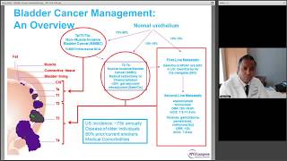 What is Immunotherapy  Sarah M Larson MD  UCLA Health [upl. by Arteid]