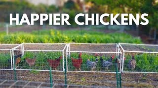 The Beginners Guide to Small Scale Backyard Pastured Poultry [upl. by Norrehs]