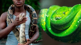 10 SNAKES You Can Have As A PET 🐍 [upl. by Ierna]