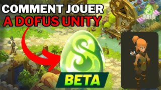 COMMENT JOUER A DOFUS UNITY  Bêta  bug serveur MONOCOMPTE [upl. by Hnahym]