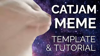 How to Make the Cat Vibing Meme CatJam Green Screen Meme Template [upl. by Cuttie750]