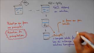 Réactions de précipitation 1  Solubilité [upl. by Bruyn]