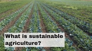 What is sustainable agriculture [upl. by Nomzzaj125]