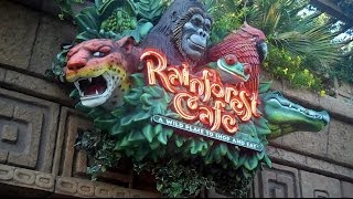 Mealtime at Disneyland Rainforest Cafe [upl. by Saberhagen]