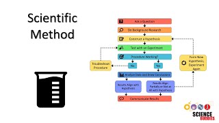 The Scientific Method Steps and Examples [upl. by Pollerd652]