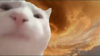 Cat Vibing to Darude  Sandstorm [upl. by Otis]