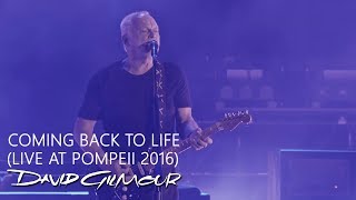 David Gilmour  Coming Back To Life Live At Pompeii [upl. by Michail324]