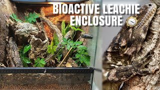 Setting Up A Bioactive Leachianus Gecko Enclosure  Upgrade For Chaos [upl. by Grunenwald]