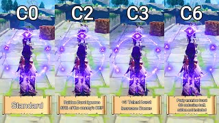 Raiden shogun DMG Comparison [upl. by Ameerak801]