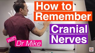 How To Remember Cranial Nerves [upl. by Claresta48]