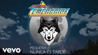 Los Temerarios  Nunca Es Tarde Animated Video [upl. by Papke]