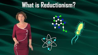 What is Reductionism [upl. by Aimak448]