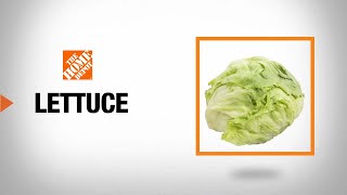 Types of Lettuce  The Home Depot [upl. by Aicilaana]