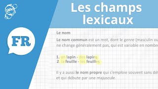 Allô prof  Les champs lexicaux [upl. by Euridice]