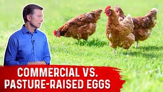 Commercial Eggs vs PastureRaised Eggs – DrBerg [upl. by Onifur466]