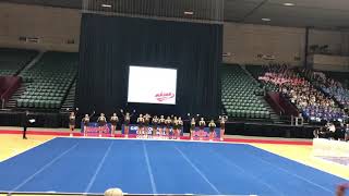 2019 MHSAA State Finals  Rochester Adams Round One [upl. by Atinaujnas920]