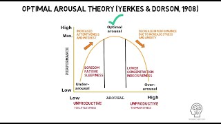 Optimal Arousal Theory by Yerkes and Dorson 1908 [upl. by Kcerb]