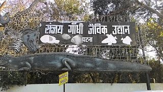 Inside Sanjay Gandhi Jaivik Udyan  Patna Zoo Patna Bihar  A Paradise In Chaos [upl. by Ariahay913]