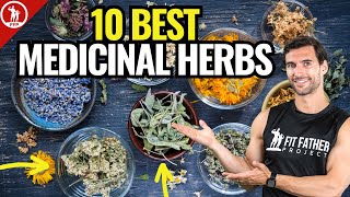 Top 10 Best Medicinal Herbs  For Health amp Vitality [upl. by Jowett692]