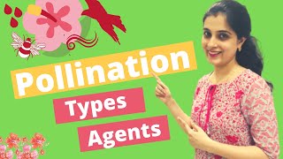 🌺 Pollination and Fertilisation Class 9 ICSE biology Types Agents of Pollination in Plants Class 9 [upl. by Deb]