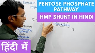 Pentose Phosphate Pathway  Hexose Monophosphate Shunt in Hindi [upl. by Suisyola760]