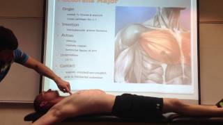 Pectoralis Major Palpation Manual Therapy and Stretch [upl. by Ailegave]