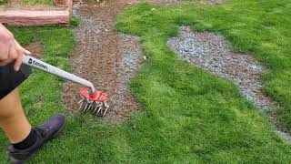 Reseeding Some Bare Spots  DIY Lawn Guy [upl. by Wane]