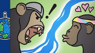 How This River Made Chimps Violent [upl. by Anjanette]