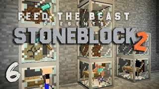 StoneBlock 2 Modpack Ep 6 Automatic Sieve Setup  Item Sorting [upl. by Domenic924]