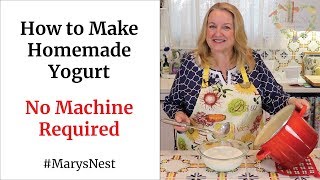 How to Make Homemade Yogurt  No Machine Required [upl. by Weylin702]