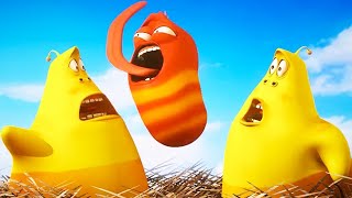 LARVA  DOUBLE TROUBLE  2019 Cartoon  Cartoons For Children  WildBrain Cartoons [upl. by Trinette]