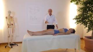 JEANPIERRE BARRAL  Advanced Visceral Manipulation  General overview  Trailer [upl. by Arleen]