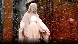 Immaculate Mary w lyrics  Catholic Hymn [upl. by Hezekiah]