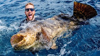 Giant Grouper Fishing Battle [upl. by Mcarthur298]