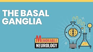 Basal Ganglia Mnemonics Memorable Neurology Lecture 4 [upl. by Nylahs]