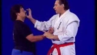 Hanshi Frank Dux demonstrates Dragon Technique [upl. by Nylyak790]