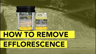 How To Remove Efflorescence From Pavers In 4 Simple Steps [upl. by Comras248]