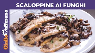 SCALOPPINE AI FUNGHI CREMOSE RICETTA FACILE E VELOCE [upl. by Aremat]