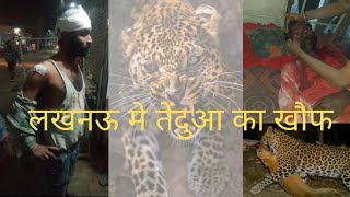 lucknowleopard कल्याणपुर में तेंदुए का आतंकGROUND REPORTBOL VCHAN [upl. by Bridge292]