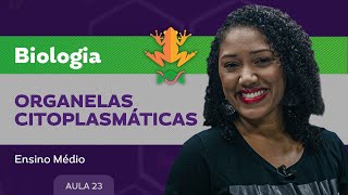 Organelas citoplasmáticas  Biologia  Ensino Médio [upl. by Weirick372]