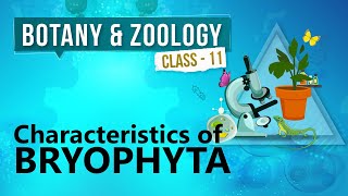 Characteristics of Bryophyta  Kingdom Plantae  Biology Class 11 [upl. by Nedyah130]