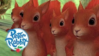 Peter Rabbit  Unlikely Allies  Cartoons for Kids [upl. by Claudian990]