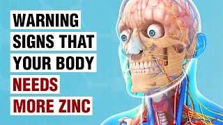 10 Warning Signs Your Body Needs More Zinc [upl. by Nessa]